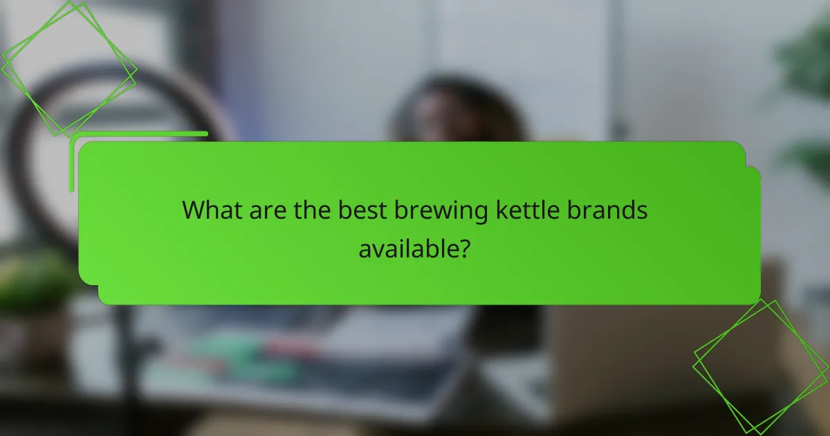 What are the best brewing kettle brands available?