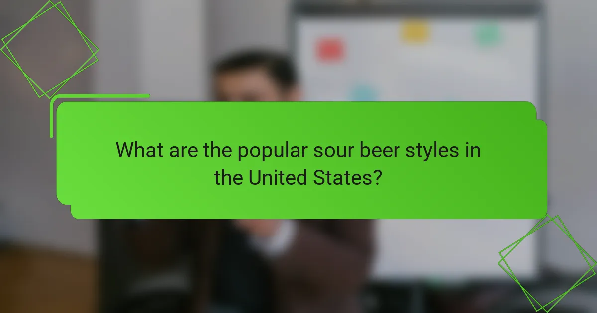 What are the popular sour beer styles in the United States?